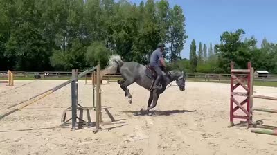 METEORITE DE MAGNY