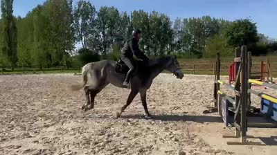METEORITE DE MAGNY