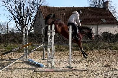 MOULIN ROUGE PHANTOM