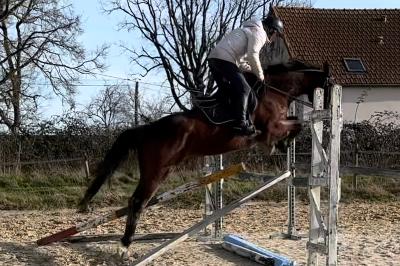 MOULIN ROUGE PHANTOM