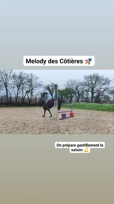 MELODY DES COTIERES