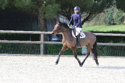 MERVEILLE DU GEVAUDAN