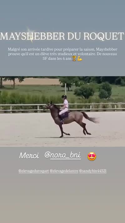 MAYSHEBBER DU ROQUET