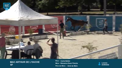 MAC ARTHUR DE L'OUCHE