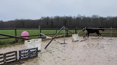 MARGA SEPT DU VALDIEU