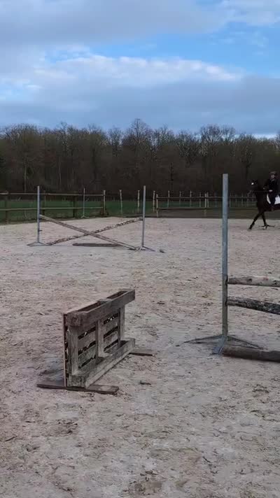 MARGA SEPT DU VALDIEU