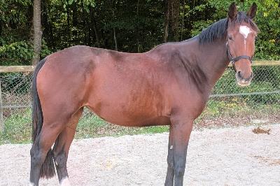 MARGA SEPT DU VALDIEU