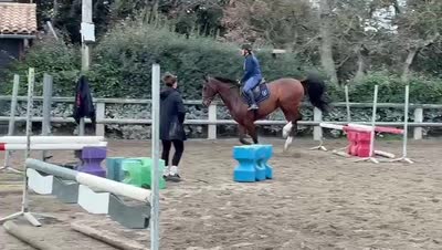 MOONLIGTH DU FRIGOUYE