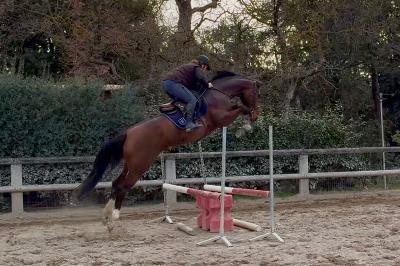 MOONLIGTH DU FRIGOUYE