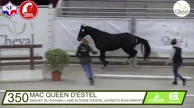 MAC QUEEN D&#039;ESTEL