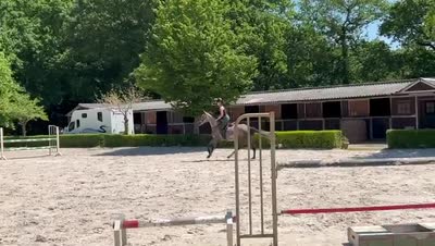 MILADY DU CHAMP COUR