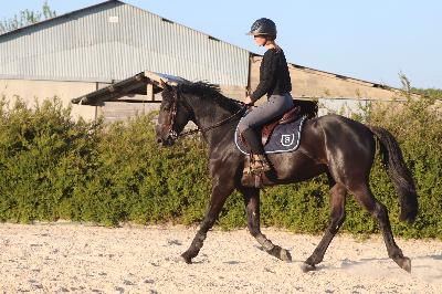 trot