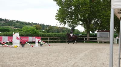 MISS MADAM MONTARLOT