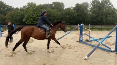 MAESTRO DE VALLIERES