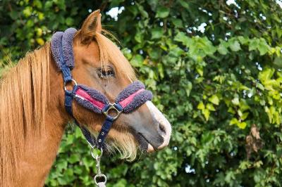 MADEMOISELLE L&#039;OUBLAN