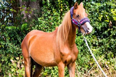 MADEMOISELLE L&#039;OUBLAN