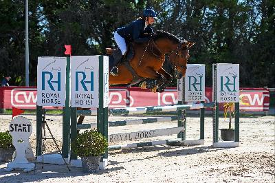 MAXIMUS DES ROUVIERES