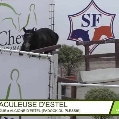 MIRACULEUSE D&#039;ESTEL