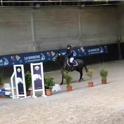 MIRACULEUSE D&#039;ESTEL