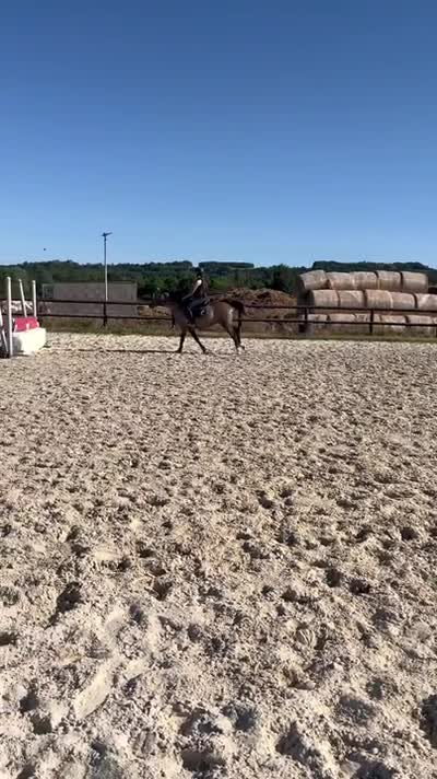 MISTER JO DE PEARLY