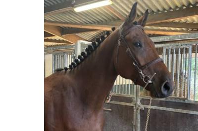 METHAMPHET DU MESERAY