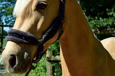 MY LOVE DE VALLET