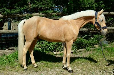 MY LOVE DE VALLET