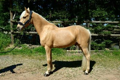 MY LOVE DE VALLET