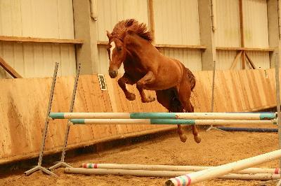 MEMPASPEUR DE GRAFFAN