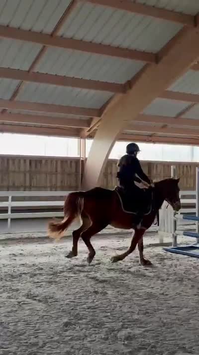 MEMPASPEUR DE GRAFFAN