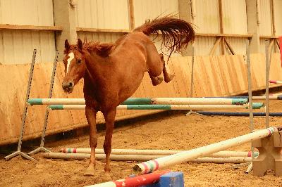 MEMPASPEUR DE GRAFFAN