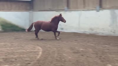 M&#039;YRAH DES ISLOTS