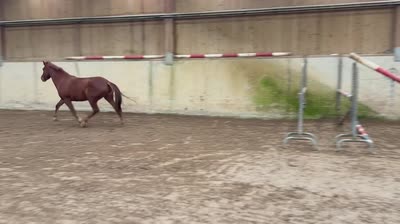 M&#039;YRAH DES ISLOTS