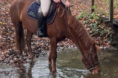 M&#039;YRAH DES ISLOTS