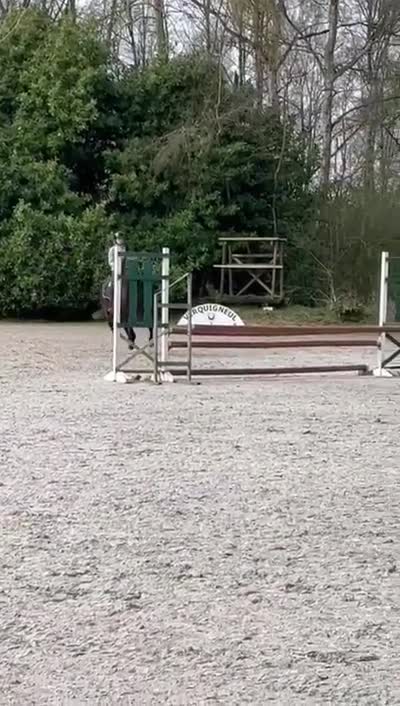 MAESTRO DE L'HONEL