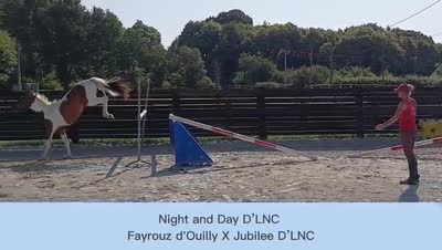 NIGHT AND DAY D&#039;LNC