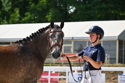 NEW GIRL DE CHAMBORD