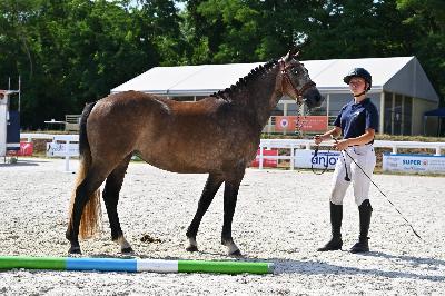 NEW GIRL DE CHAMBORD