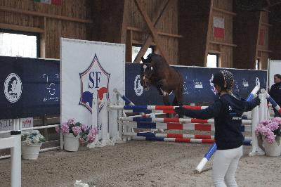 NIARADO D&#039;ELINCOURT