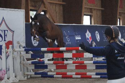 NIARADO D&#039;ELINCOURT