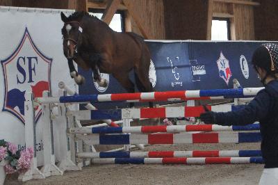 NIARADO D&#039;ELINCOURT