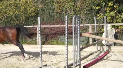 NIARADO D&#039;ELINCOURT