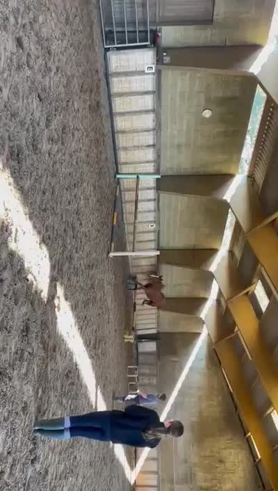 NOMADE DU BUSSON