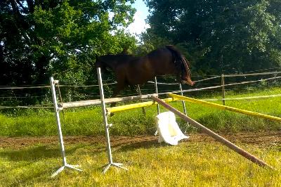 NOBLESSE DE FERBET