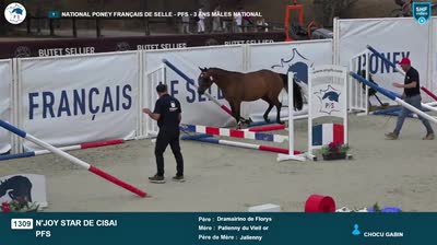 N'JOY STAR DE CISAI