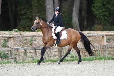 N'JOY STAR DE CISAI