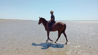 NATEIS DE L&#039;ISLE