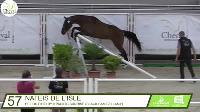 NATEIS DE L&#039;ISLE