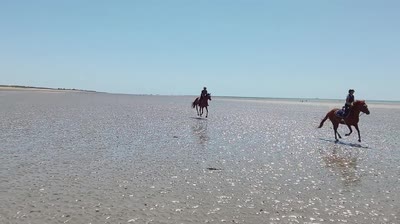 NATEIS DE L&#039;ISLE