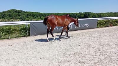 NATEIS DE L&#039;ISLE